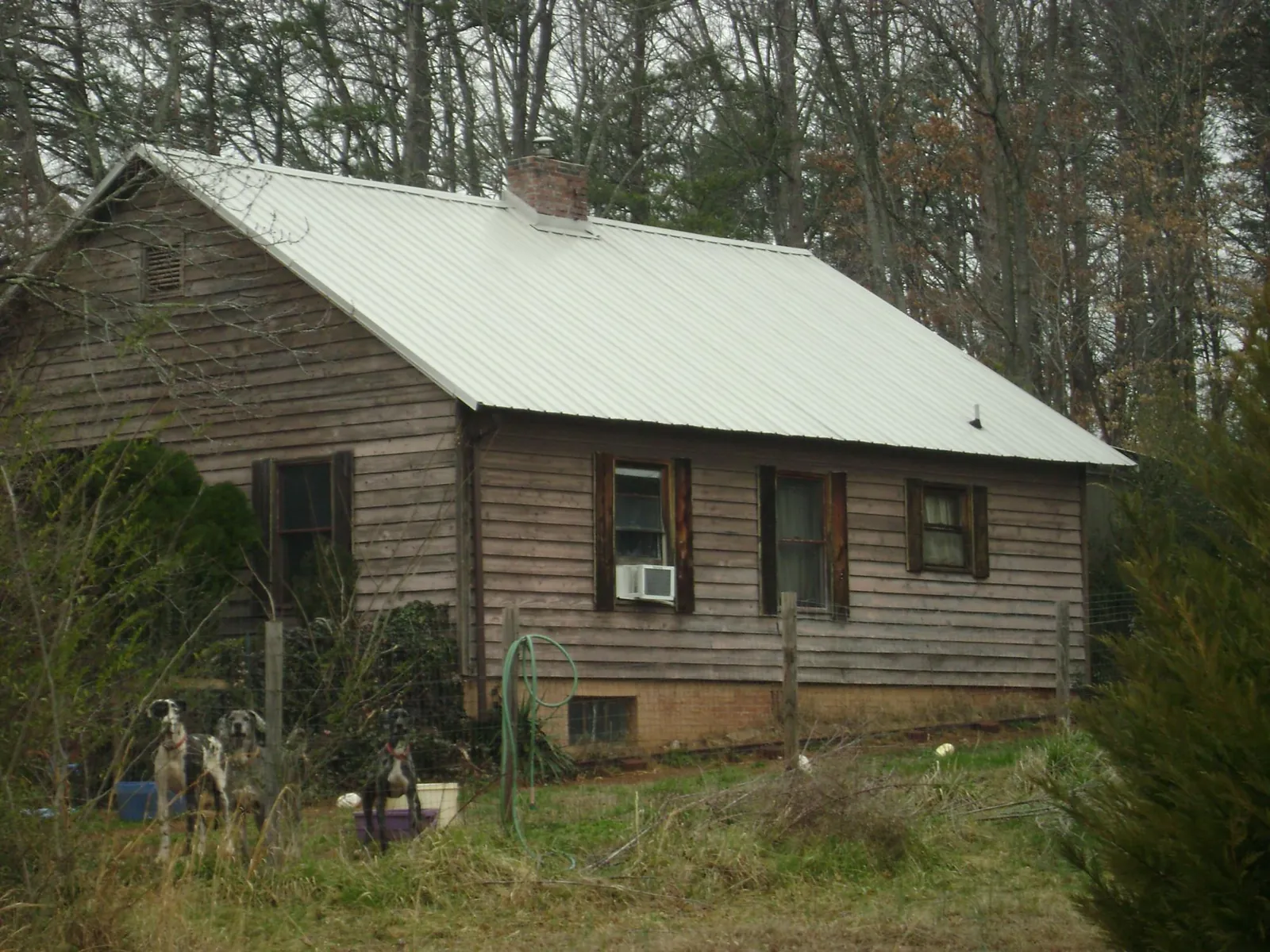 White metal roof on an old wood sided farmhouse, from a Asphalt Shingle Roof Repair job in Lengby